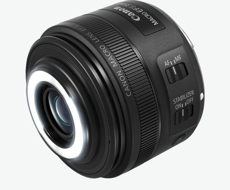 ef-S 35mm F2.8 マクロ IS STM 箱なし - カメラ